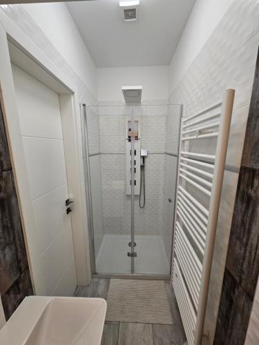 a bathroom with a shower with a glass door at Spílerapartman 1 in Balatonalmádi