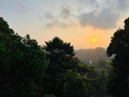 a view of the sun setting through the trees at Red Stone Villas in Madikeri