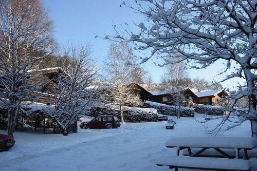 einen schneebedeckten Hof mit einem Haus und einer Bank in der Unterkunft Cozy chalet with fireplace located in wooded area in Schönecken