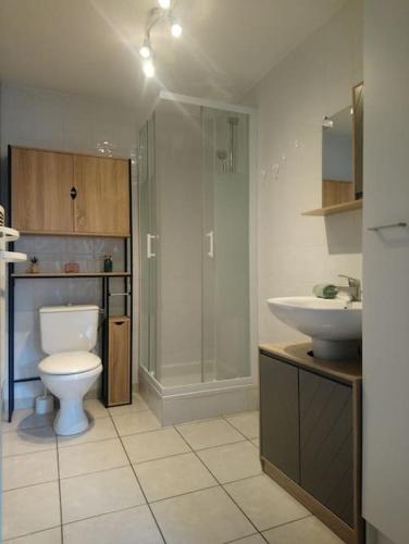 a bathroom with a toilet and a sink at Appartement Belley centre-ville in Belley