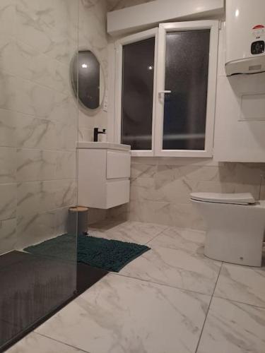 une salle de bain avec toilettes, lavabo et fenêtre dans l'établissement T2 Tom Krist. / Circuit 24h / Oasis /Antares, au Mans