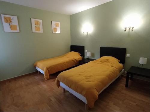 two beds in a room with green walls at Gîte l' Odyssée in Espalion