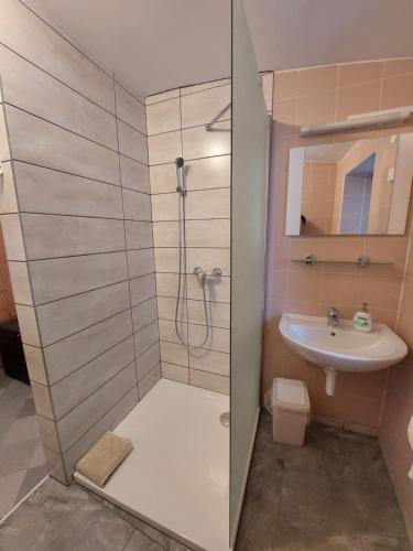 y baño con ducha y lavamanos. en Apartment Carli-Jurč en Kobarid