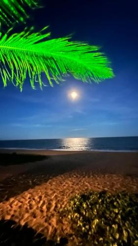 a view of the beach at night with a palm tree at Bibis house in Porto Seguro