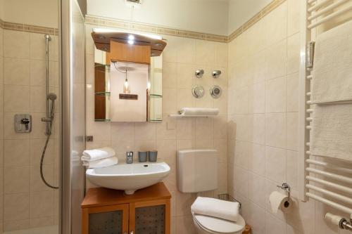 a bathroom with a sink and a toilet and a mirror at Ferienwohnung Kranzhornblick - Alpenmagie Suites in Oberaudorf