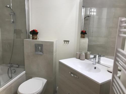 une salle de bain avec toilettes, lavabo et douche dans l'établissement Le Moabi- appartement- 4pers-centre station, aux Gets