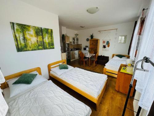 a room with two beds and a living room at Apartmány Srub Jenišov in Horní Planá