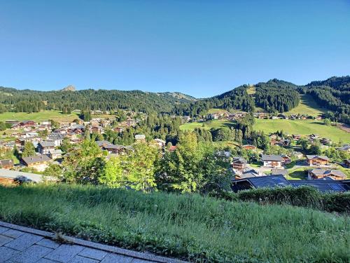 Mapineige1-appartement-6pers-vue piste