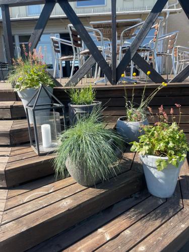 a group of potted plants on a wooden deck at Best Western Hotel Botnia in Umeå