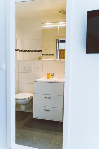 a bathroom with a white sink and a toilet at Gut Oehe in Maasholm