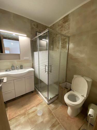 a bathroom with a shower and a toilet and a sink at Rhodes Volkshaus in Afantou