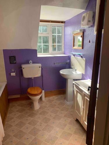 a purple bathroom with a toilet and a sink at Gullers End Farm Cottage in Long Green