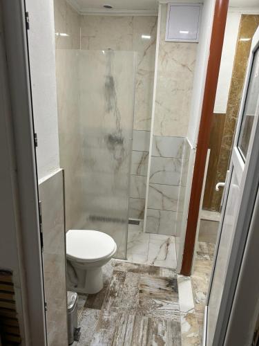łazienka z toaletą i prysznicem w obiekcie Cesar's Apartment w mieście Gerasdorf bei Wien