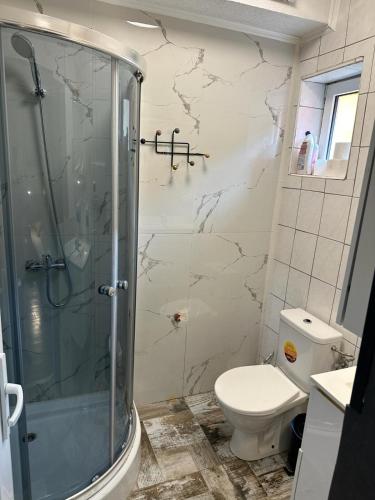 W łazience znajduje się toaleta i przeszklony prysznic. w obiekcie Cesar's Apartment w mieście Gerasdorf bei Wien