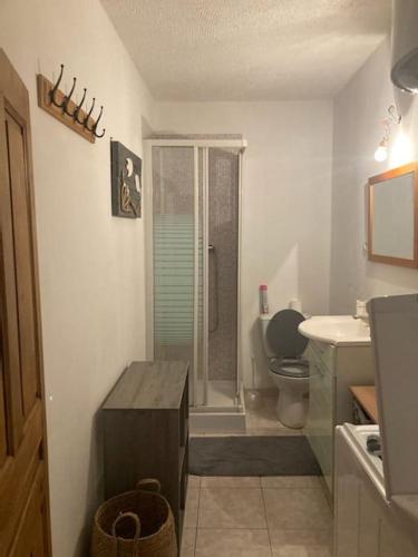 une petite salle de bain avec douche et toilettes dans l'établissement Ravissant appartement au cœur de Piana, à Piana