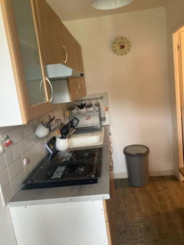 Il comprend une cuisine équipée d'un four et de plaques de cuisson. dans l'établissement Ravissant appartement au cœur de Piana, à Piana