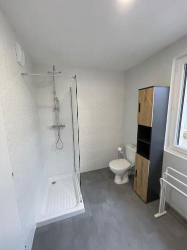 une salle de bain avec toilettes et douche en verre dans l'établissement Appartement T3 avec jardin et véranda, à Saint-Priest