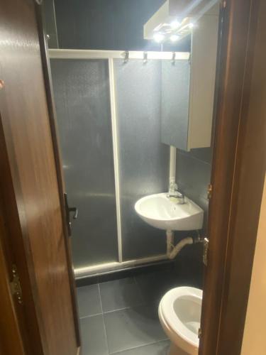 クラグイェヴァツにあるMarta Apartmentのトイレと洗面台付きのバスルーム