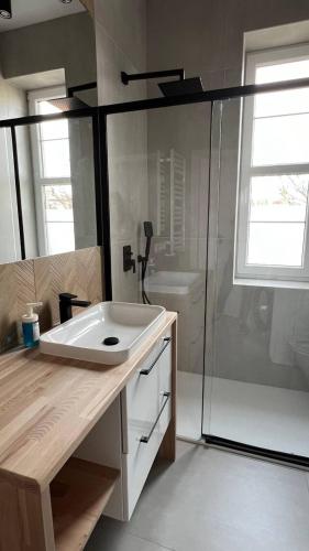 uma casa de banho com um lavatório e um chuveiro em CityCenterApartments-M32-8C em Bielsko-Biala
