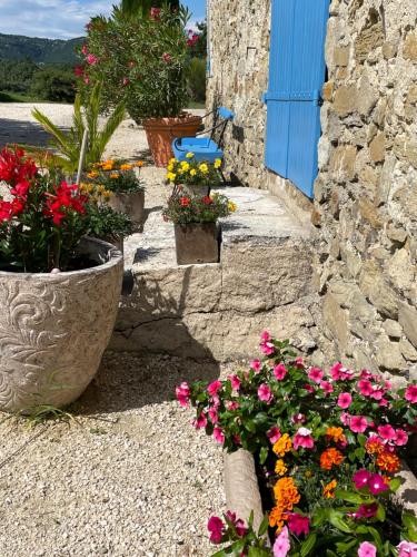 a group of flowers in front of a building at Mas de JANNE in Cléon-dʼAndran