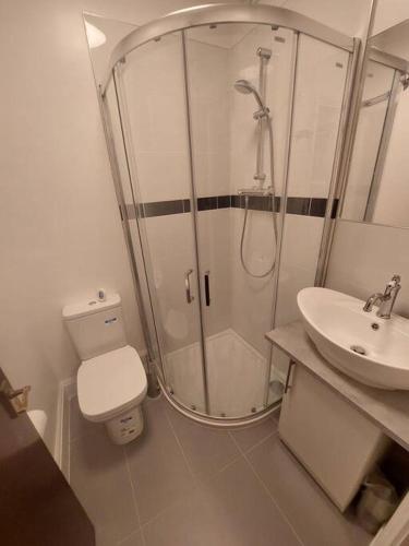 a bathroom with a shower and a toilet and a sink at Newly refurbished studio in London