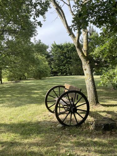 a cannon sitting next to a tree in a field at Mas de JANNE in Cléon-dʼAndran