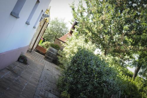 Сад в Locanda Merlaschio