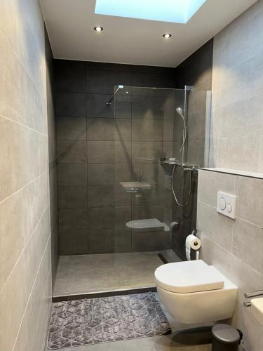 a bathroom with a shower and a toilet and a sink at Apartment 170 in Bad Münstereifel