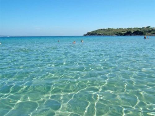 a group of people swimming in the ocean at Casa Calasetta sul porto in Calasetta