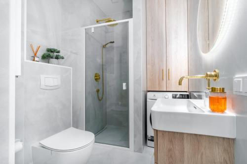 uma casa de banho com um chuveiro, um WC e um lavatório. em Golden Apartment Paupys em Vilnius
