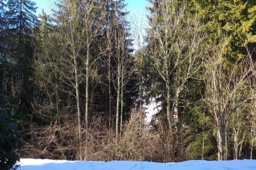 Naturlandschaft in der Nähe der Ferienwohnung