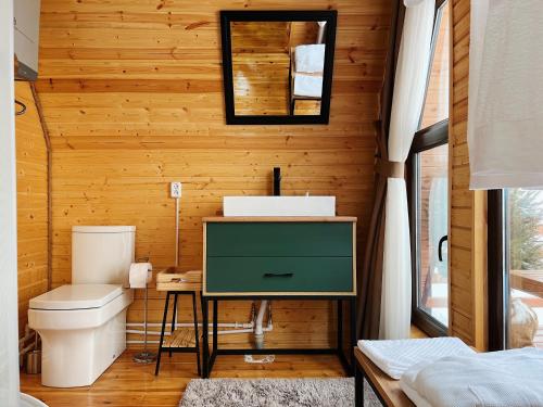 a bathroom with a toilet and a sink in a room at ALTO Cabins in Alamedin