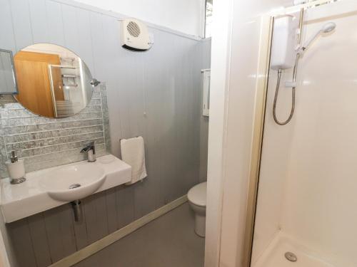 a bathroom with a sink and a toilet and a mirror at The Bird House in Newcastle Emlyn