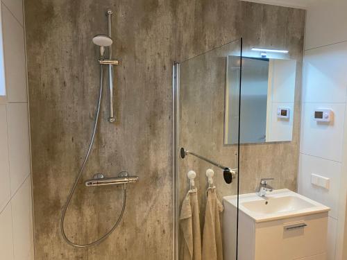 a shower with a glass door next to a sink at Boerenlodge in Bruchterveld
