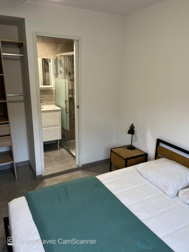 Chambre avec salle d'eau privée dans appartement partagé 200 m du tram