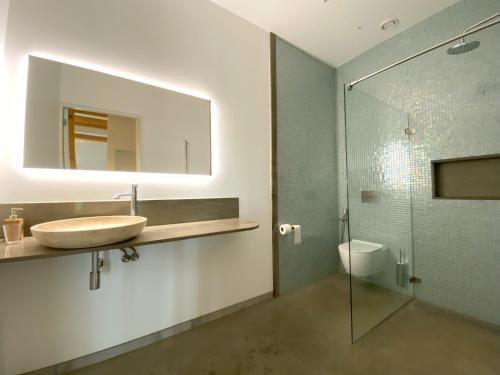 a bathroom with a sink and a toilet and a mirror at HollyWad in Holwerd