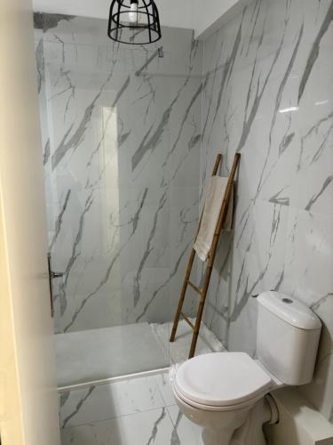 une salle de bain avec toilettes et un mur en marbre dans l'établissement Studio 2 étoiles à Menton pour 4 personnes, à Menton