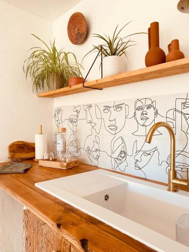 une cuisine avec évier et quelques plantes sur le mur dans l'établissement Le Mas de San Lou, à Cabasse