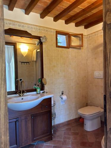 een badkamer met een wastafel en een toilet bij Casa le Capanne in Greve in Chianti