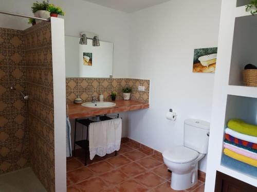 a bathroom with a sink and a toilet at Casa de la Fuente in Almonaster la Real