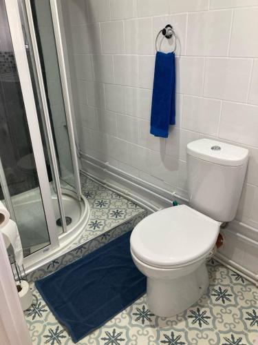 a bathroom with a toilet and a shower at Waen las Cabin in Denbigh