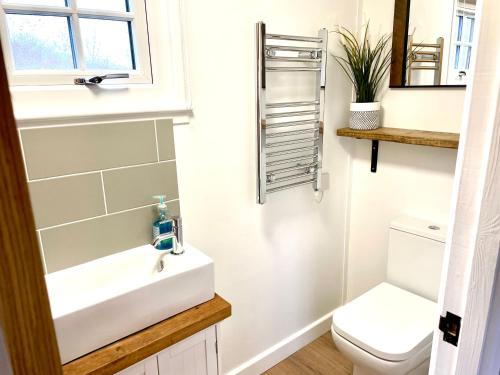 a bathroom with a sink and a toilet at Clay Bank Huts, Roseberry Shepherds Hut in Ingleby