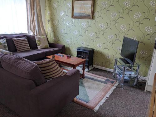 a living room with a couch and a tv and a table at Cosy Cornish Chalet Camelford Port Isaac in Camelford