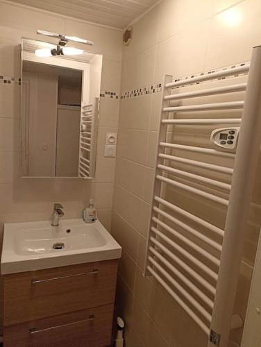 une salle de bain avec un lavabo et un miroir dans l'établissement La lagune plein écran, à Sète