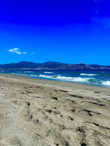 Pieds Dans L eau 50 m de la mer Sol y mar