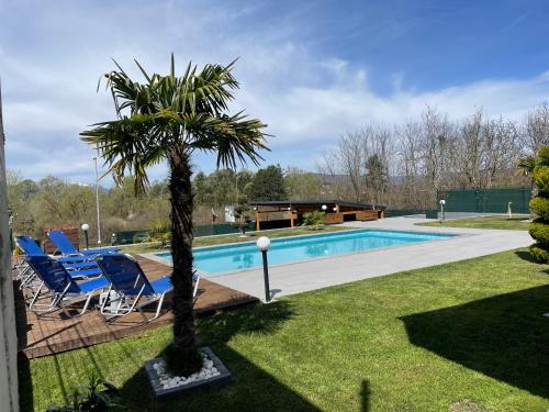 a palm tree next to a swimming pool at Villa Dimo Topal in Ohrid