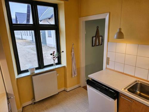 a kitchen with a sink and a window at Privat lejlighed på landejendommen Frederiks-Eg in Herlufmagle