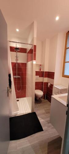 une salle de bain avec une douche, des toilettes et un lavabo dans l'établissement L'unico, à Bagnères-de-Bigorre