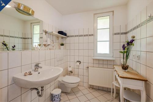 bagno bianco con lavandino e servizi igienici di Waldsiedlung Waldhaus App 4.1 a Korswandt
