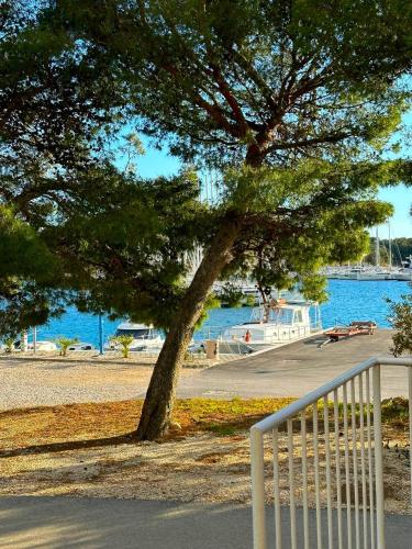 First row to the sea - Apartment Mustel - Adults Only